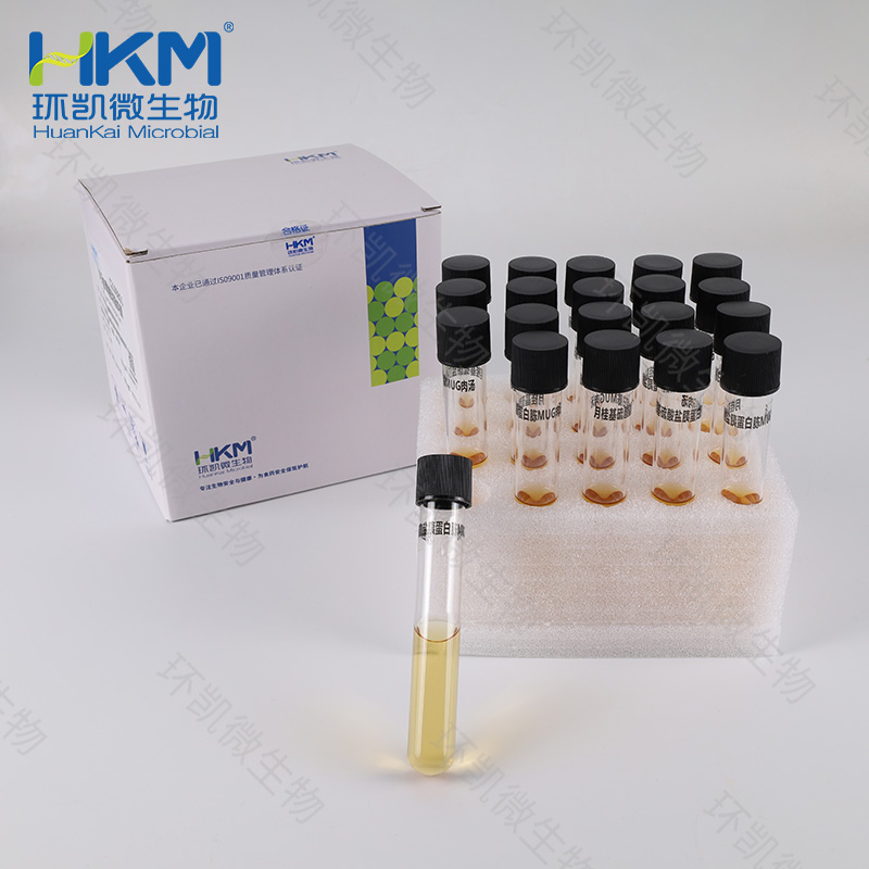 022515B LST-MUG肉汤培养管 10mL×20支